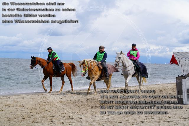 s_K3F05231.JPG